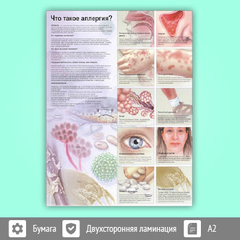 Плакат «Что такое аллергия?» (ЗОЖ-04, 1 лист, A2)